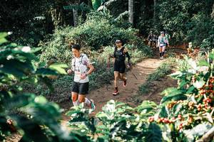 BIB: 
                            <button type="button" onclick="openModal(25852966)" class="btn btn-primary btn-sm float-right btn-popup" data-toggle="modal" data-target=".modal-high-quality">
                        <i class="fas fa-shopping-cart"></i> Add to Cart
                    </button>
                                            <button type="button" onclick="isThisMe(25852966, true)" class="btn btn-success btn-sm float-right btn-popup btn-isme hidden" data-toggle="tooltip" data-placement="bottom" title="นี่คือรูปของคุณใช่ไหม คลิกที่นี่เพื่อเอาเข้าอัลบั้ม">
                        <i class="fas fa-plus"></i> Add to album
                    </button>
                    <button type="button" onclick="isThisMe(25852966, false)" class="btn btn-warning btn-sm float-right btn-popup btn-isnotme hidden">
                        <i class="fas fa-ban"></i> Remove from album
                    </button>